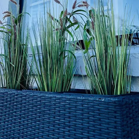 Wavecrest By Trident Homes Garryvoe