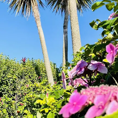 Дом отдыха Wavecrest By Trident Homes Гарривоу