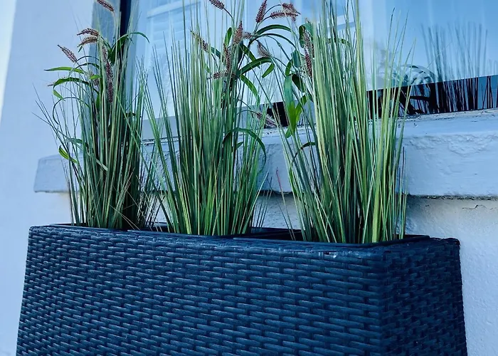 Wavecrest By Trident Homes Garryvoe