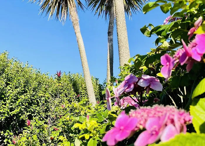 Tatil Evi Wavecrest By Trident Homes Garryvoe